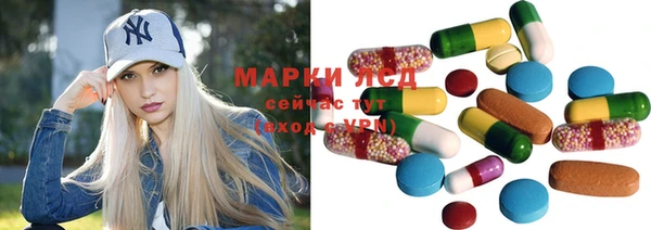 гашик Алексин