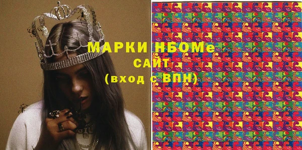 гашик Алексин